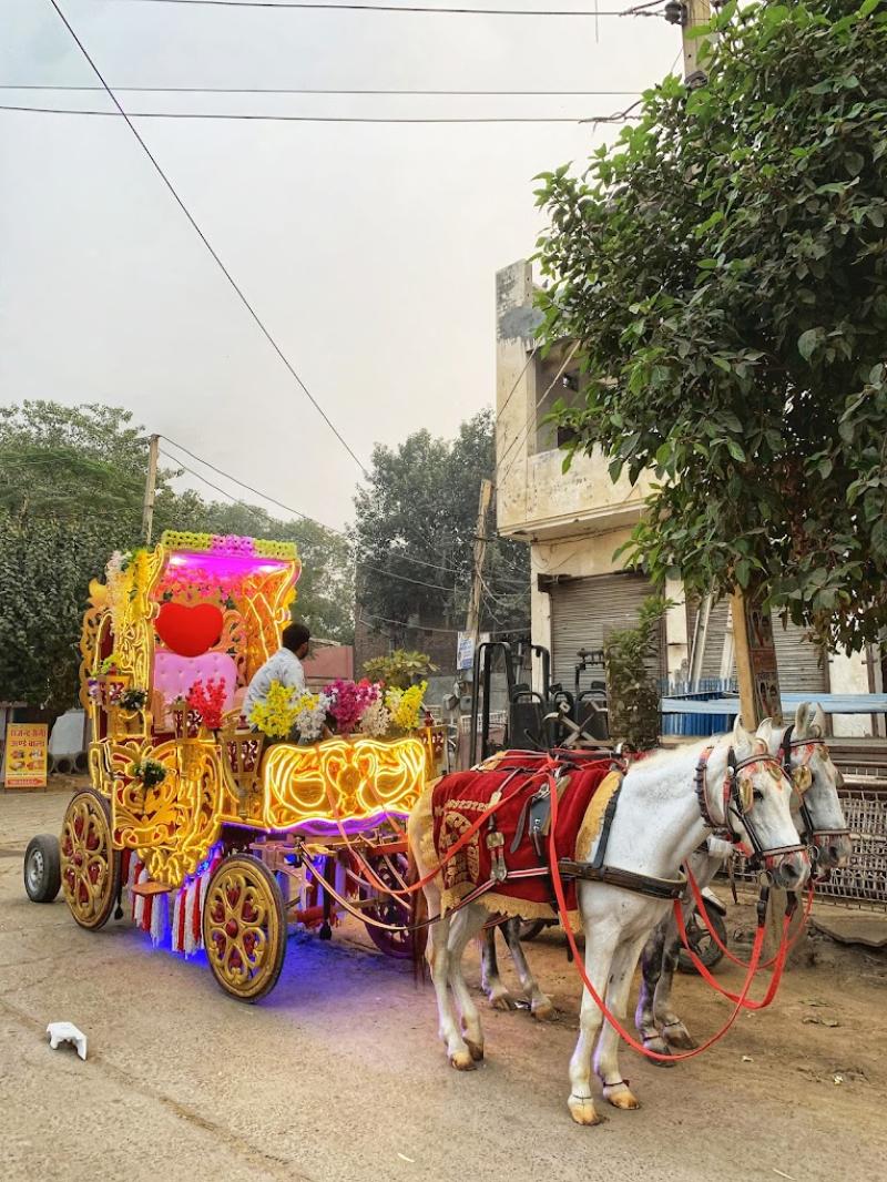 Saini Ghodi Baggi